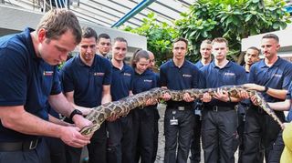 Zusammen dürfen die Feuerwehrleute mal Oskar heben, die schwerste und längste Schlange.