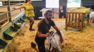 An den Hörnern packen: David Röhrig zeigt den Feuerwehrleuten im Bauernhof, wie man eine Ziege einfängt.