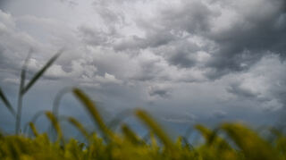 Der Deutsche Wetterdienst (DWD) warnt erneut vor Starkregen in den kommenden Tagen.