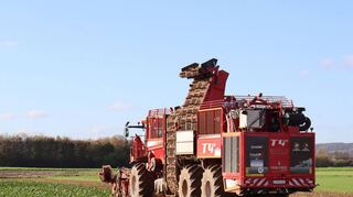 Südzucker steigerte im vergangenen Geschäftsjahr die Zuckererzeugung auf vier Millionen Tonnen.