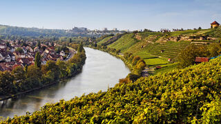 Mit einer Bootstour auf dem Neckar lässt sich die herrliche Umgebung rund um den See vom Wasser aus bewundern.