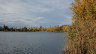 Die blaue Adria in Altrip: Ein Badeparadies um die Ecke.