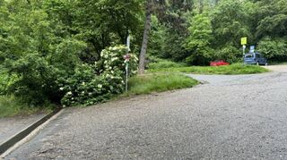 Der Tatort liegt an einem Waldparkplatz unterhalb der Schauenburg in Dossenheim. Hier soll sich abends die Messerattacke abgespielt haben.