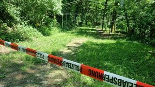 Das Segelflugzeug stürzte am Pfingstmontag in ein dichtes Waldstück direkt neben dem Flugplatz in Malsch.