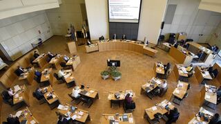 Dem Gemeinderat gehören – inklusive Oberbürgermeister – 49 Politikerinnen und Politiker an. Die Tierschutzpartei, der Mittelstand für Mannheim und die Satire-Partei haben derzeit jeweils einen Sitz inne.