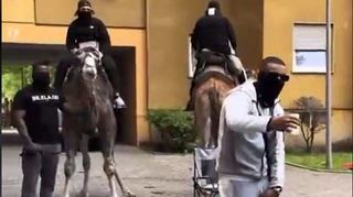 Zwei Kamele stehen als Kulisse eines Musikvideos von Hood Blaq und Luciano im Hemshof.