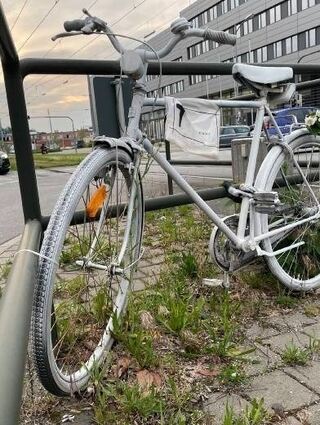 Angehörige pflegen die Ghostbikes oft, legen Blumen darauf ab.