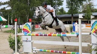 Lokalmatador Karim Eisenhofer kam auf Maja San bei der Springprüfung der Klasse M mit steigenden Anforderungen nicht über Platz 14 hinaus.