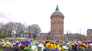 Mannheim liegt im Glücksranking vor Freiburg und Karlsruhe