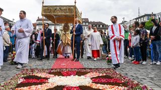 Rosenblätter, Bartnelken, Kaffeesatz: Das Blumenornament hat auf dem Marktplatz die Prozession zu Fronleichnam begrüßt.