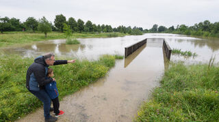In der Fischkinderstube in Edingen-Neckarhausentritt das Wasser ebenfalls schon über die Ufer.