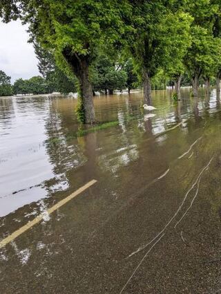 Inzwischen hat das Hochwasser auch die Ladenburger Neckarstraße überschwemmt.