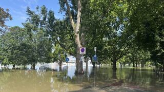 Die Rheinterrassen sind vollkommen untergegangen. Der Rhein soll laut Experten in den kommenden Tagen aber langsam wieder abschwellen.