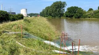 Mit Pumpen befördern die Landwirte das Wasser von ihren Feldern über den Deich auf die Rheinseite.