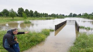 Land unter an der Fischkinderstube in Edingen-Neckarhausen: Das Hochwasser hat die Wege in Mitleidenschaft gezogen, das genaue Ausmaß der Schäden ist noch unklar.