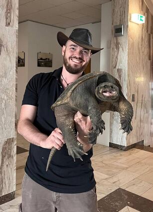 Kevin Keßler nimmt Schnappschildkröte „Schnappi“ im Bibliser Rathaus-Foyer in Empfang. Feuerwehrleute hatten das Tier während der Dammwache an einem Deich entlang der Weschnitz entdeckt.