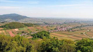 Ranschbach liegt idyllisch inmitten von südpfälzischen Weinbergen. Im Februar hat sich in dem Dorf jedoch ein Verbrechen ereignet.