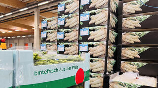 Der Pfalzmarkt liefert seinen Spargel in alle Regionen Deutschlands und Europas.