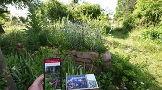 Im Garten des Naturschutzbundes (Nabu) in Edingen an der Friedrichsfelder Straße gibt es jetzt auch digitale Wegweiser.