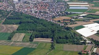 Auf den Ackerflächen zwischen der Riedbahn (l.) und dem Waldstück westlich des Sandtorfer Wegs wird die PV-Freiflächenanlage „Im Bruch“ errichtet.