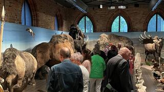 Der Besucherandrang bei der Mannheimer Ausstellung „Eiszeit“-Safari“ in Brandenburg.
