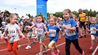 Edingen Sportgebiet Sommerlauf TVE  23.06.2024  Bild: Marcus Schwetasch
Start Bambini-Lauf