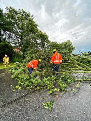 Die Feuerwehr war mit Kettensägen im Einsatz.