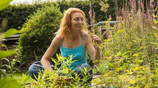 Mischkultur lautet das Zauberwort: Wo verschiedene Pflanzen wachsen, haben es Schädlinge schwerer.