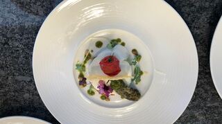 Tomaten-Oliven-Tatar auf cremiger Guacamole und lauwarmem Parmesanschaum.