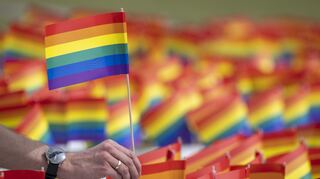 Ein Mitglied der Initiative «Grundgesetz für Alle» steckt eine Regenbogenflagge in die Erde vor dem Reichstagsgebäude. (Symbolbild)