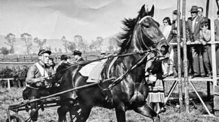Bis 1963 hatten die Pferderennen des Reitervereins, ob Galopper oder Traber mit Sulky (Bild), Volksfestcharakter in Heddesheim.