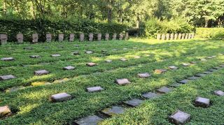 Von mehr als 400 Kriegsgräbern auf dem Wormser Hauptfriedhof wurden Metall-Schilder abgehebelt.