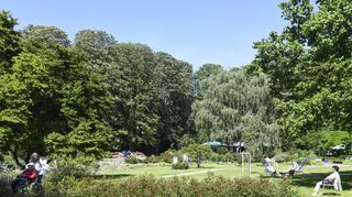 Der Herzogenriedpark ist am Samstag, 13. Juli, Gastgeber für das Stadtteilfest in der Neckarstadt.