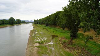 Auf der Neckarwiese sind noch Fahrzeugspuren zu sehen, doch die Arbeiten für die geplante Neckar-Renaturierung stocken, weil der Uferbereich wegen des Dauerregens derzeit nicht von schweren Lkws befahren werden kann.