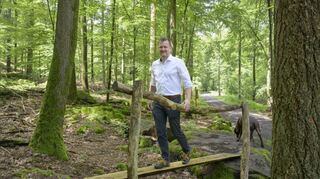 Nach drei Jahren wurde der Stadtwald wieder als Kur- und Heilwald zertifiziert. Das freut nicht nur Klimaschutz-Bürgermeister Raoul Schmidt-Lamontain.