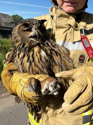 Bei Feuerwehrmann und Falkner Karsten Fath war der Uhu sicher.