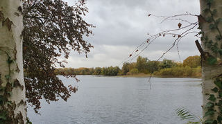 Am Sollachsee im pfälzischen Germersheim gelang dem verurteilten Mörder im Oktober 2023 die Flucht.
