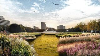 Stauden und Wildblumenwiese: So kann sich der Entwurf von Helleckes Landschafts-architektur den Europaplatz vorstellen.