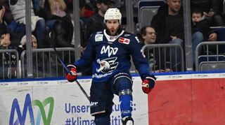 Adler-Stürmer Matthias Plachta war in der vergangenen Saison der Top-Scorer der Mannheimer. In 43 Spielen traf er allein 22 Mal.