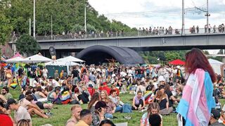 Friedlich: die Monnem Pride auf der Neckarwiese. Doch die Organisatoren berichten, sie hätten viele queerfeindliche Vorfälle beschrieben bekommen.