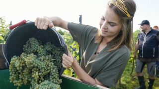 Lea Baßler wurde 2022 zur Pfälzischen Weinkönigin gekrönt. Ab diesem Jahr werden die Pfalzwein-Botschafterinnen und -Botschafter keine Kronen mehr tragen.