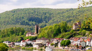 Mit dem Schiff über den Neckar: Vorbei an den schönsten Landschaften und so einigen historischen Städten.