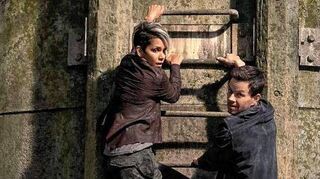 In „The Union“ wird der einfache Bauarbeiter Mike (Mark Wahlberg) von seiner Jugendfreundin Roxanne (Halle Berry) für eine Geheimdienstmission angeworben.