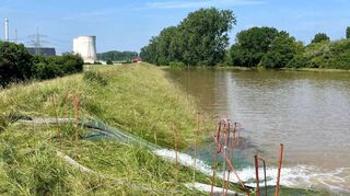Einige der Schläuche, die Wasser von den Feldern über den Deich in Richtung Rhein ableiten.