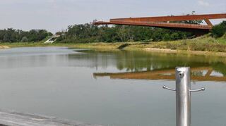 Wieder gut mit Wasser gefüllt: das Augewässer, wie der kleine See in der Feudenheimer Au offiziell heißt.