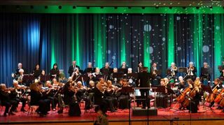 Die Starkenburg Philharmoniker in ihrer aktuellen Besetzung. Rund 50 Musiker treten Ende September im Viernheimer Bürgerhaus auf.
