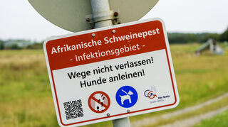 Ein Schild im Landkreis Groß-Gerau weist auf Regeln zum Schutz gegen die Afrikanische Schweinepest hin. Aber auch in Mannheim gilt in einigen Bereichen, dass Hunde angeleint werden müssen und Personen auf Wegen diese nicht verlassen dürfen.