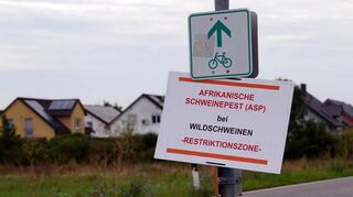 Schilder warnen – hier in Worms – an den Eingängen der Kommunen vor der Ausbreitung der Afrikanischen Schweinepest.