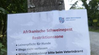 Verbote, die nicht immer gerne akzeptiert werden. Unser Bild stammt vom 1. August. Inzwischen zählen Lampertheim, Viernheim, Biblis, Bürstadt und Groß-Rohrheim zur Sperrzone II und nicht mehr zur Restriktionszone. Alle Schilder wurden jedoch noch nicht ausgetauscht. Die genannten Vorsichtsmaßnahmen aber bleiben.