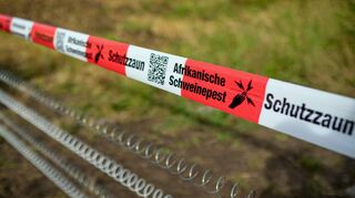 Die Afrikanische Schweinepest ist nun auch in Baden-Württemberg angekommen. In Mannheim ist zum Schutz gegen die Ausbreitung der Seuche eine neue Allgemeinverfügungen erlassen worden.